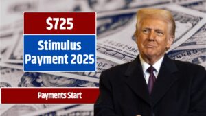 $725 Stimulus Check 2025
