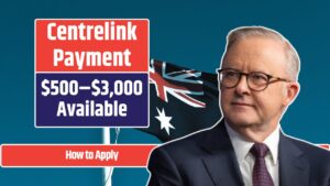 Centrelink Payment