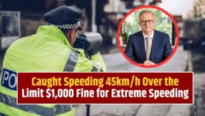 Caught Speeding 45km/h Over the Limit $1,000 Fine for Extreme Speeding